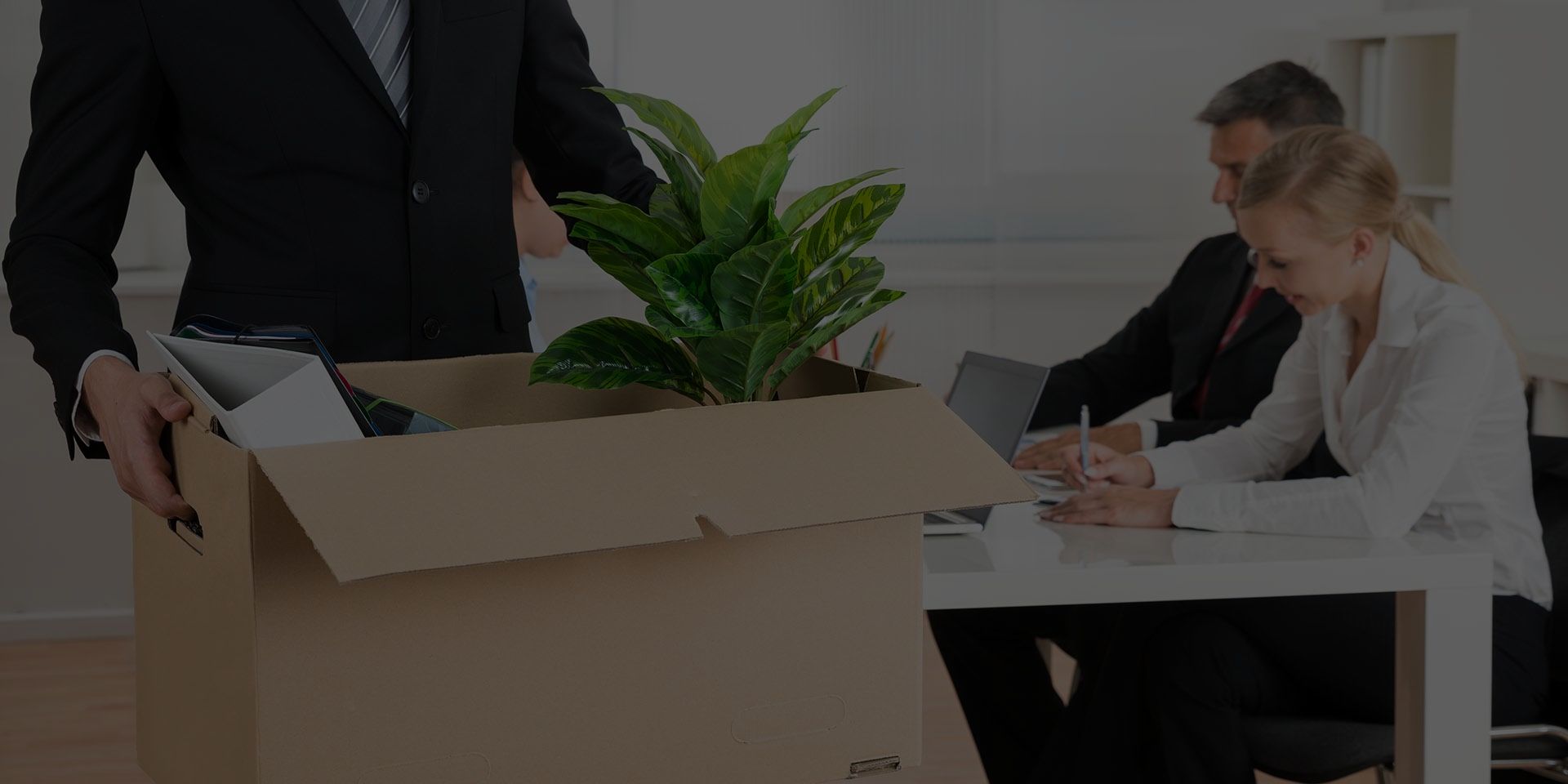 Kentish Town Movers